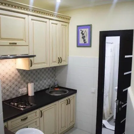 однокімнатна по вул дорошенка 56 Apartment Lviv