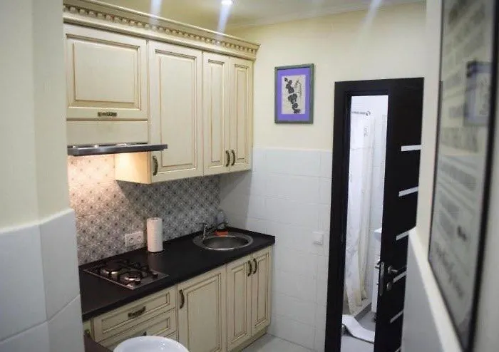 однокімнатна по вул дорошенка 56 Apartament Lwów